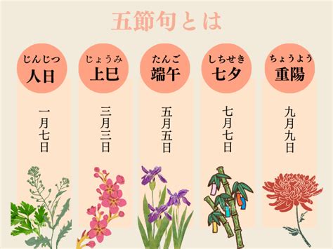 九菊|重陽の節句・菊の節句とは？9月9日節句の由来・食べ物・楽しみ。